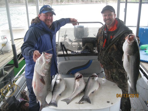 Nice Striped Bass